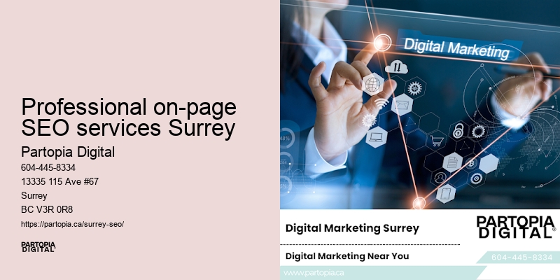 SEO for small businesses Professional on-page SEO services Surrey