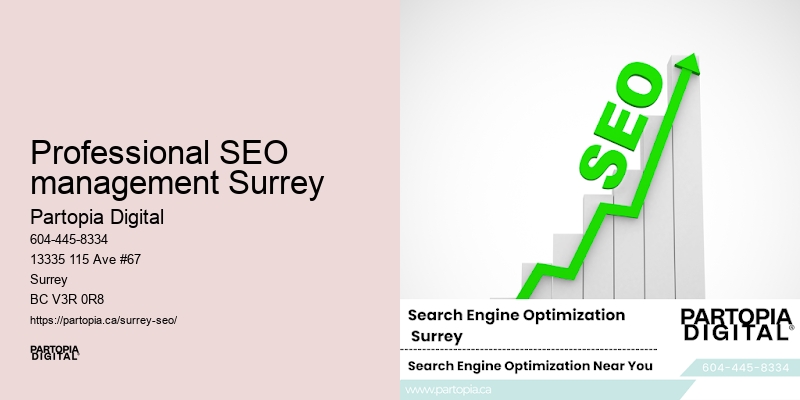 Professional SEO services Professional SEO management Surrey