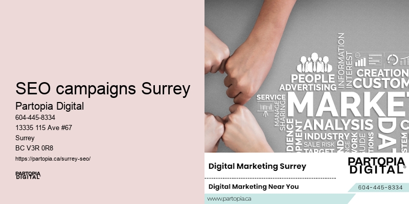 SEO experts in SEO campaigns Surrey, BC