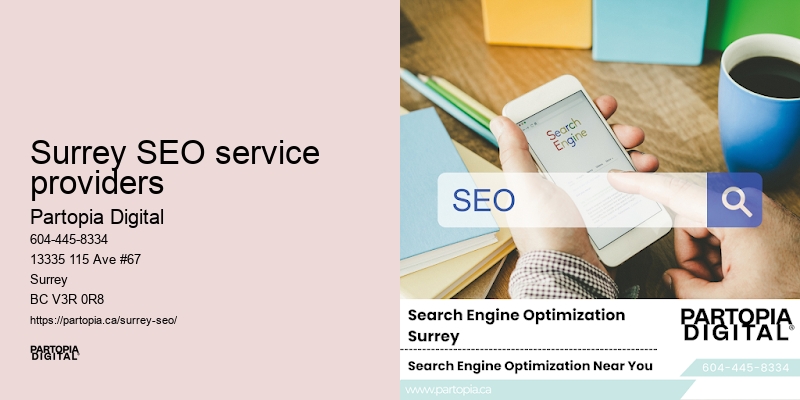 Professional SEO Marketing Surrey SEO service providers